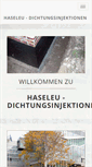 Mobile Screenshot of haseleu-abdichtungen.de