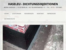 Tablet Screenshot of haseleu-abdichtungen.de